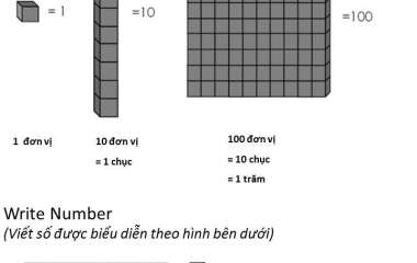 Một số bài toán tư duy lớp 2 có đáp án